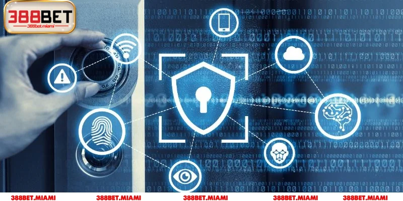 Trách nhiệm của thành viên khi tham gia đặt cược tại nhà cái